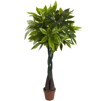 4-дюймовое денежное растение (настоящее прикосновение), зеленый